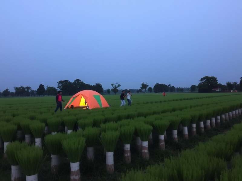 Slot Machine Malayali Regional Variants